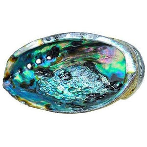 Abalone Shell for Sage & Incense